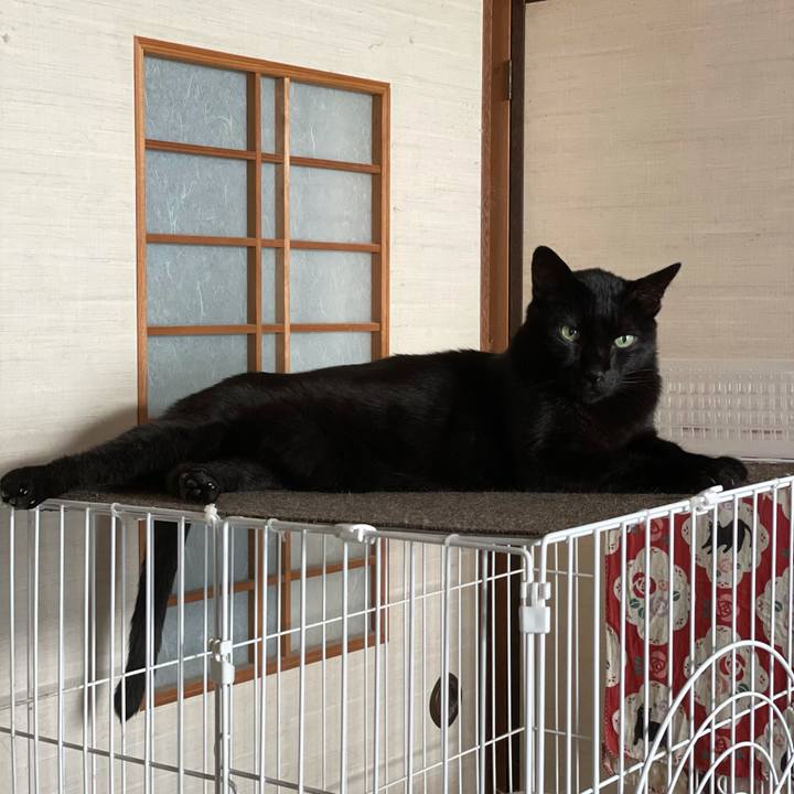 337ac369 fa67 4ffb 9333 8ee924c050c2 1633398183975