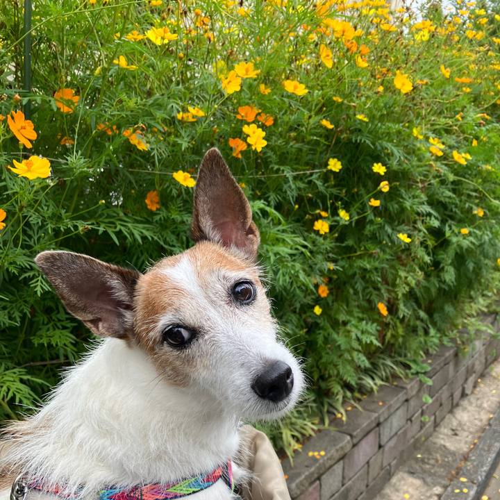 337b5526 1668 4e30 b633 9fce77a72455 1726615529324