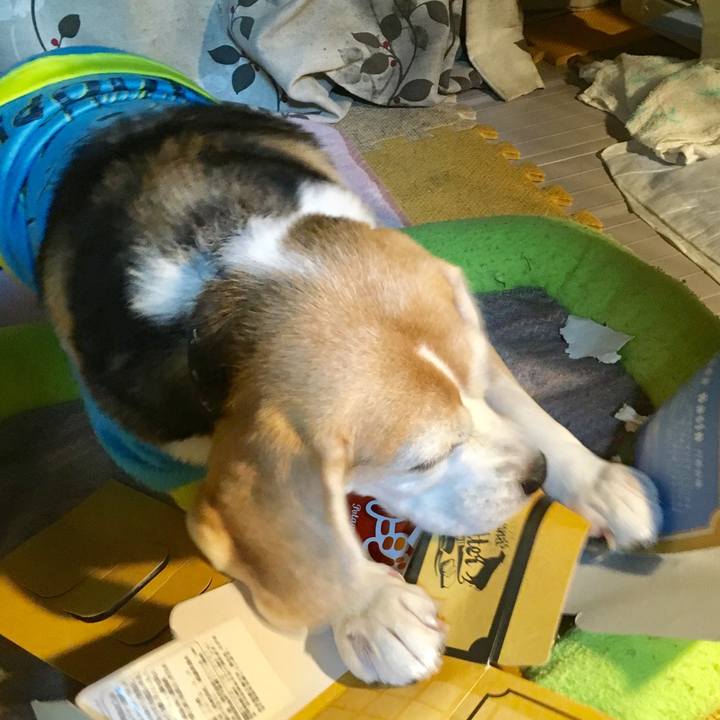 337b9d2e 7488 4b1c 9296 45bca9ea7601 1551970191603