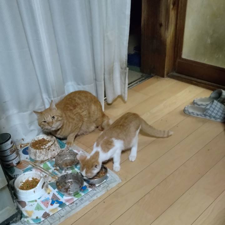 337bc88b 5797 4d2e b3df 0e46e8270653 1727909322766