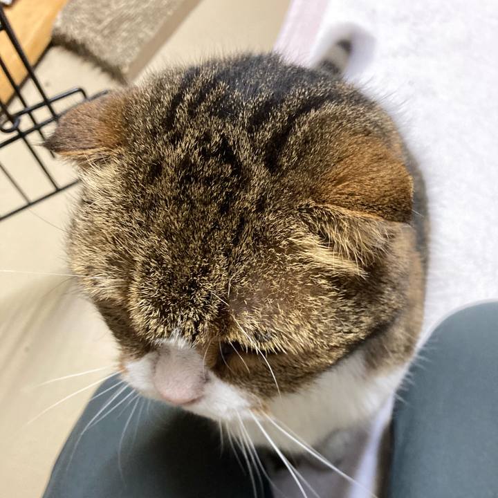 337c014d c935 4427 8048 4038079230cc 1669332364450