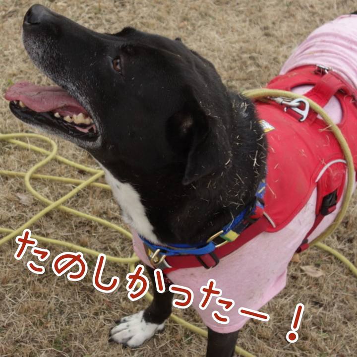 337c09bf 367b 416f 9394 d6b0f67366f9 1671243530683