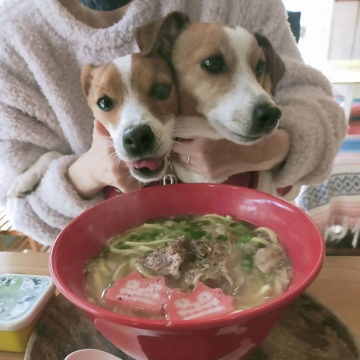 337c0bf6 34bf 4ff5 a92c 2f228691034b 1765611017569