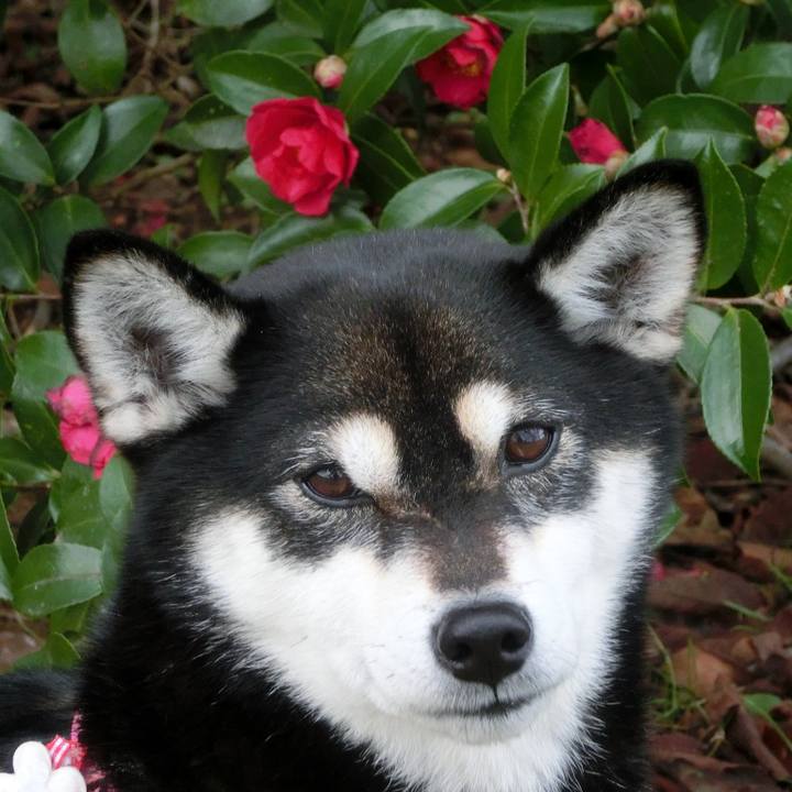 337c5bd9 0fb8 4d50 b651 1ad0580a3ded 1515454343292