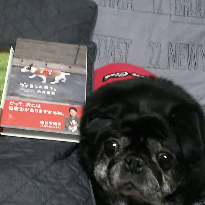 337c6642 347c 4c92 91be fe6aa1246da6 1523889964043