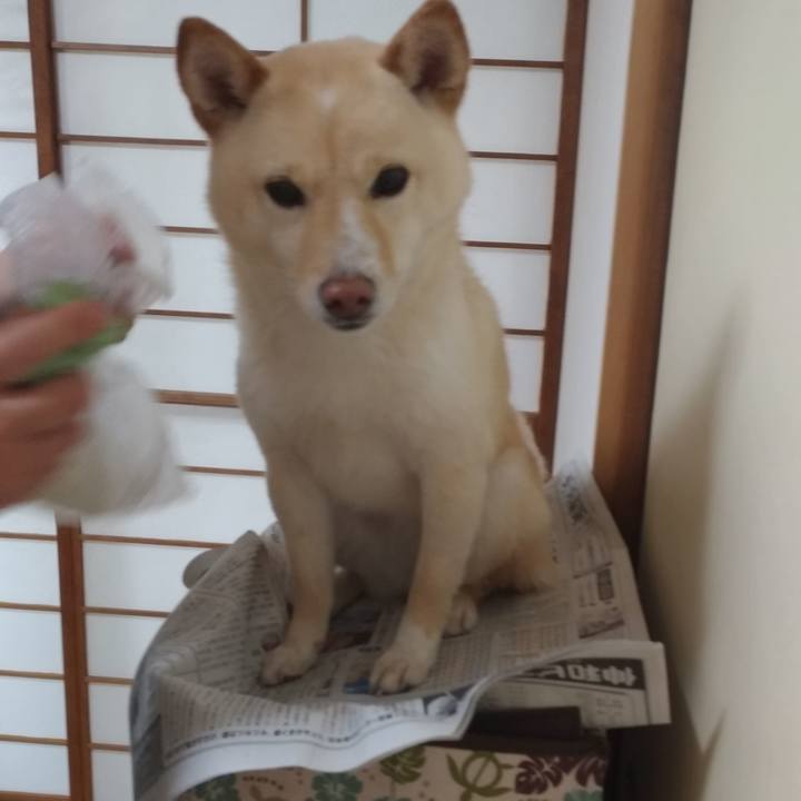 337c9039 e9c0 4d51 bb9c 9fbee31e96d0 1557700141345