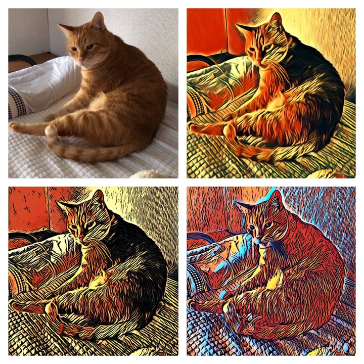 337ca1cb 7eaa 41fb 8c7d 78d0c9ce3e48 1584437223344