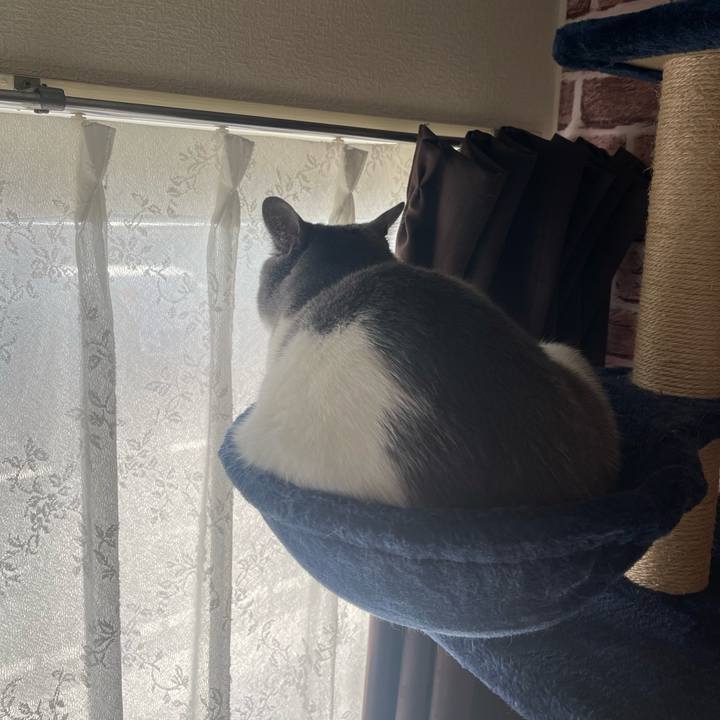 337cb2de 82fc 4d47 bfb0 3d107b909849 1673149568760