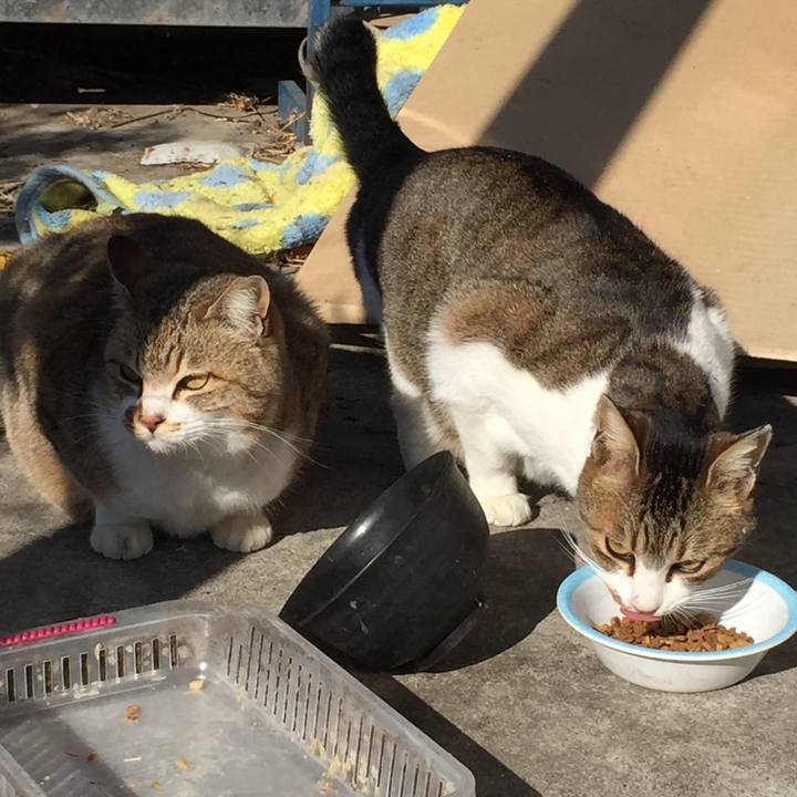 337ced02 a184 40e4 8564 51a77cf8fd38 1512965462666