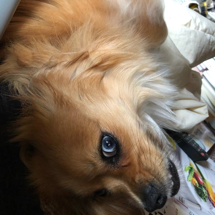 337cf7e2 68f8 4717 bc28 b1da883df147 1560054883586