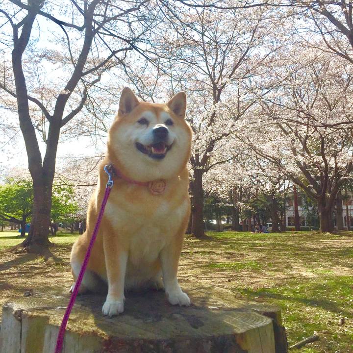 337d1516 701f 4489 ad48 3035b8a3e5ec 1616758176912