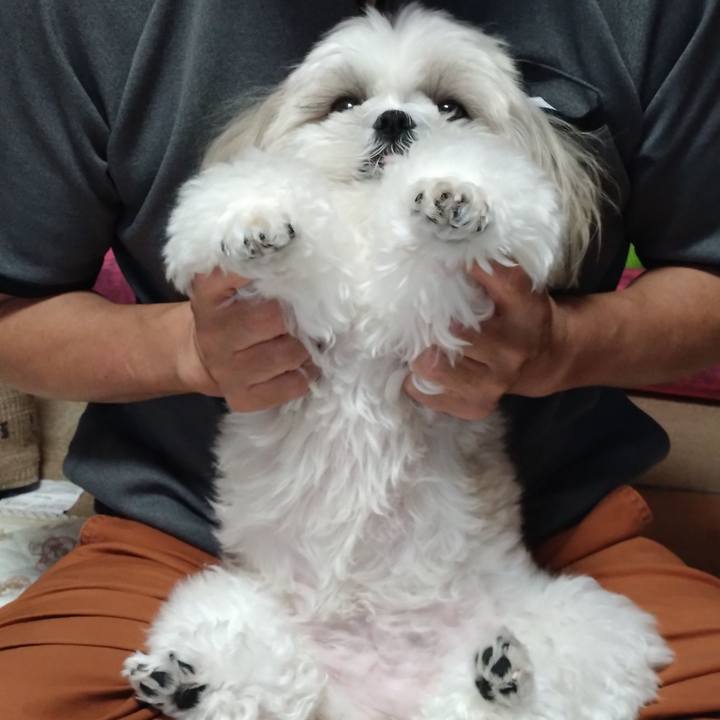 337d189e 4d6b 4a15 b177 7a42dbf4ae6b 1689760493492