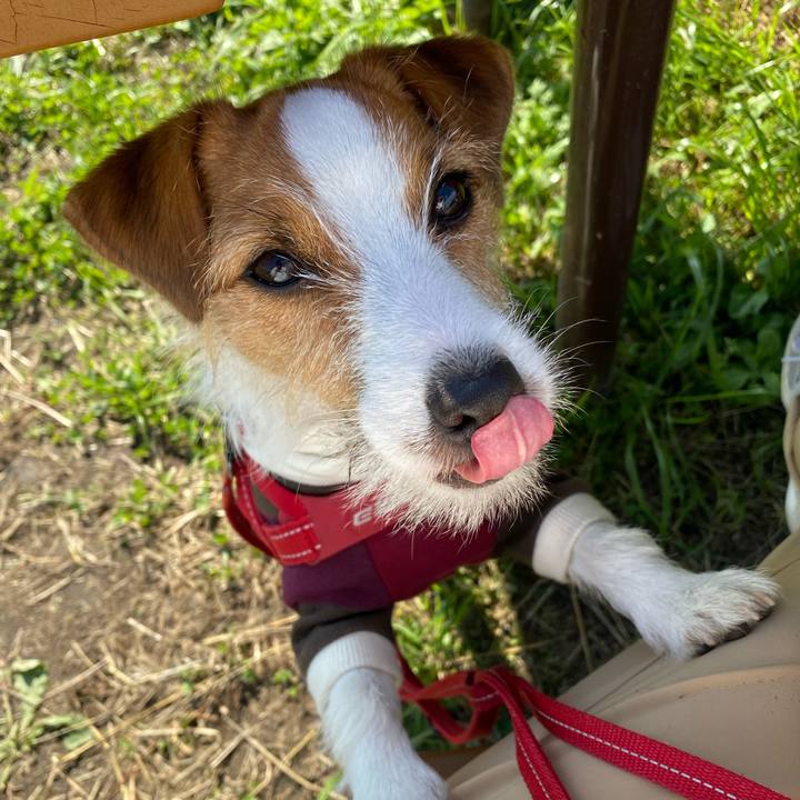 337d4668 2198 49d8 840f c4e07fe7757e 1635916365275