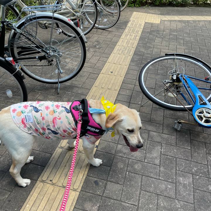 337d6af2 847f 4c6c 9c25 f493653846eb 1627304084314