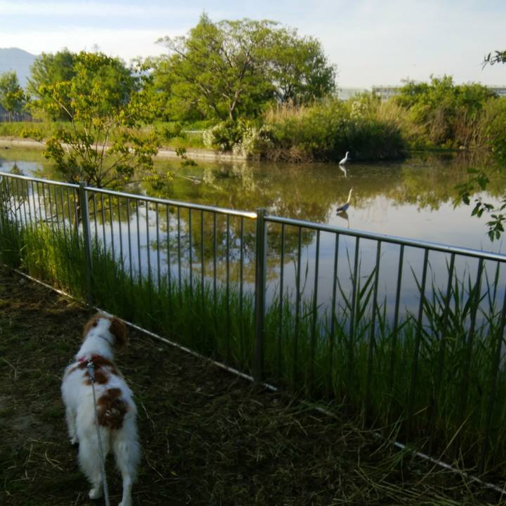 337dff50 d7ab 4973 b9f0 bda965a94ad3 1557531144858