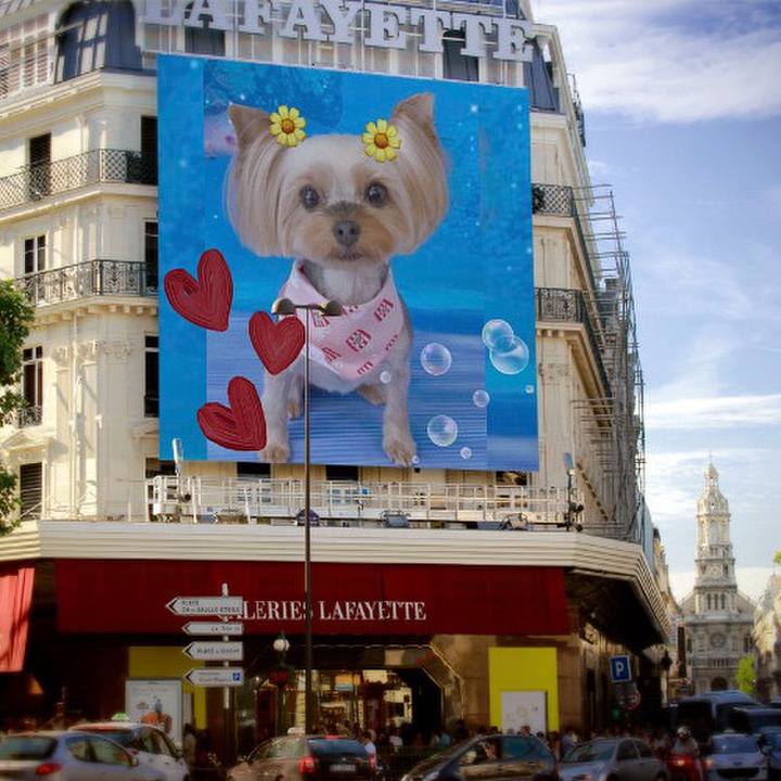 337e1d94 9738 4f6a 89ca 0c7e4da5a8f0 1631159377705