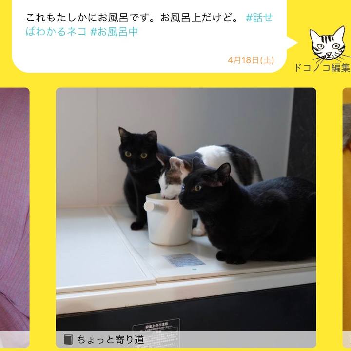 337ecd93 1aa1 485c b923 f9bdeb3013c5 1587185128553