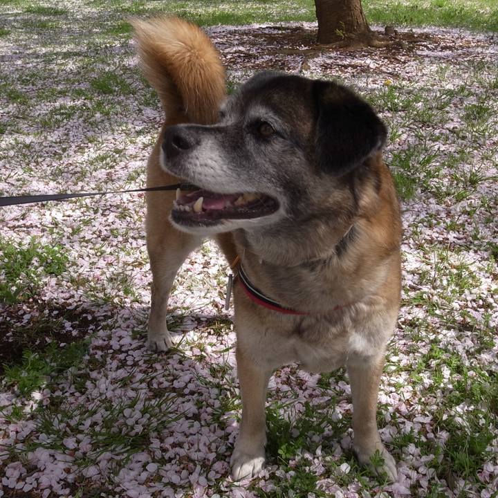 337f0336 96ae 46ff bc1e 9097ba4098e7 1602980251646