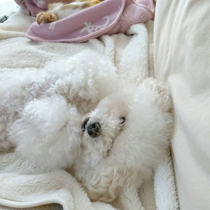 337f1385 d9eb 4670 aacc 957d1a96c248 1511740465011