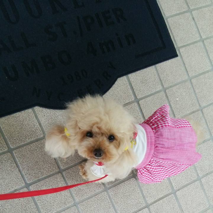 337f3adc 6f9a 4ed6 92fe e6828595a280 1560346127431