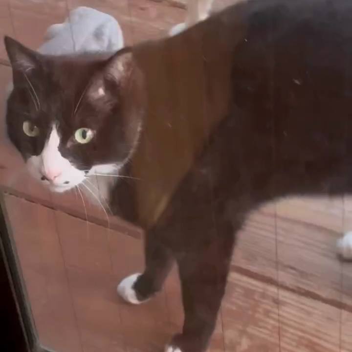 337f4d46 c872 4327 af49 95497159ff6e 1747050635368