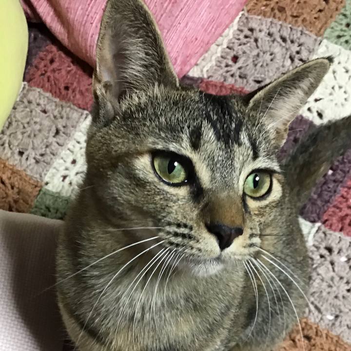 337f96bd 6a48 49cf 9def 85a783139a56 1574755334260