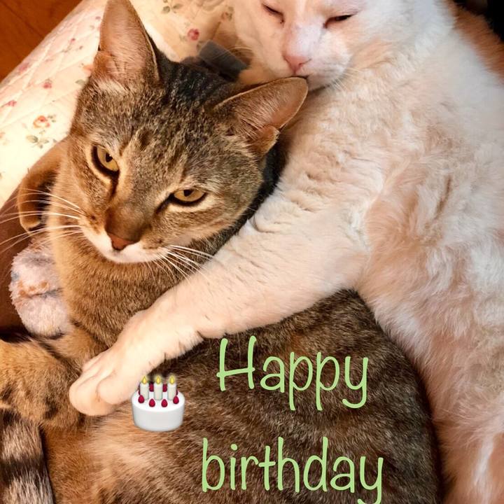 337f9b96 29e8 4567 b9f1 5efd31bf19db 1583678626666