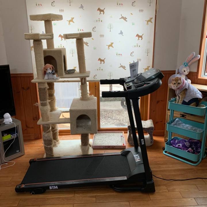 337f9f10 a641 4126 b077 69ba22ccdcaf 1621504945445