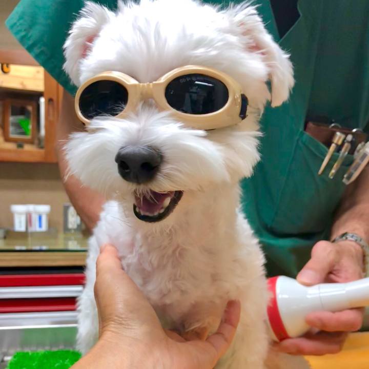 3380092d 3dae 444c a1ea ed2083d1fd8f 1539494932638