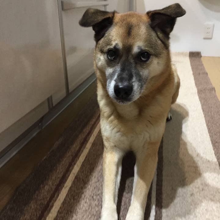 33800dd7 b981 42eb b503 5e8229e2f37a 1517823555746