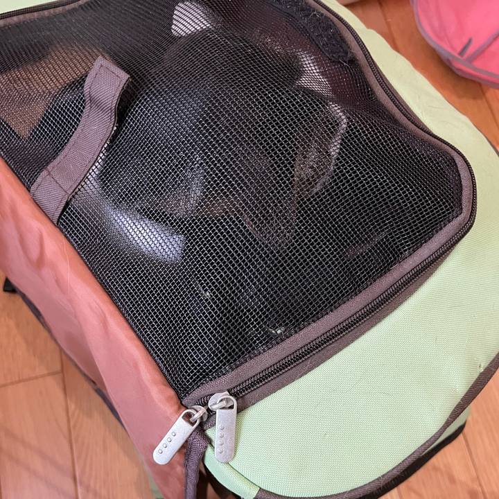 33802f29 988c 4298 8fe8 f2c7cd68919d 1663379252944