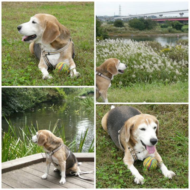 33805824 7bb1 41dc 9206 2ef56c15b63d 1647392085751