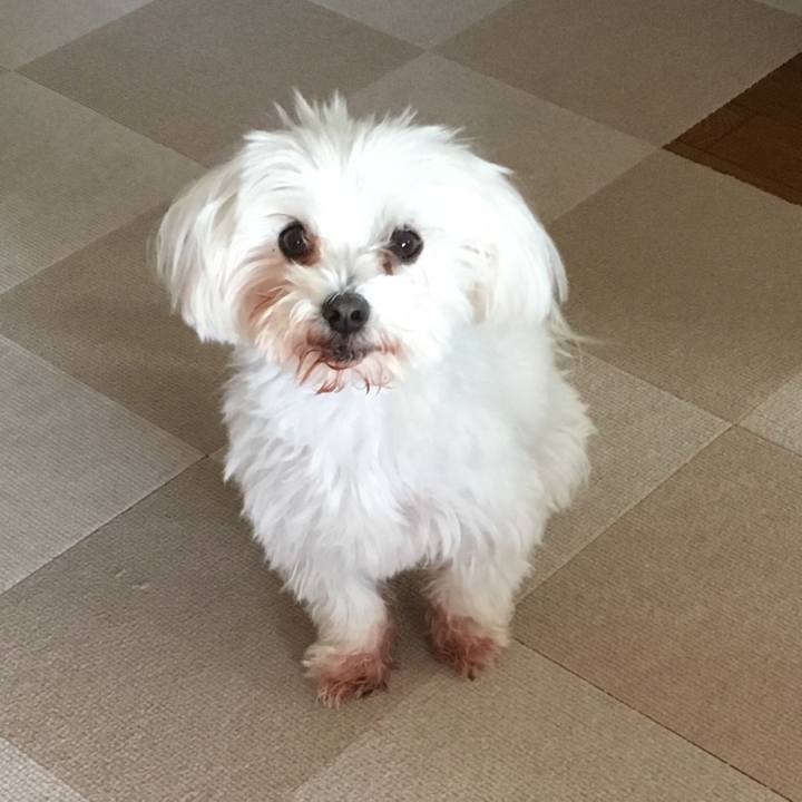 3380835d e6e1 4572 9201 7a989d7b447e 1509880622437