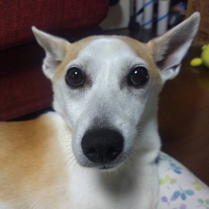 33808703 7beb 4f97 bacb f70da6089c0b 1656248572662