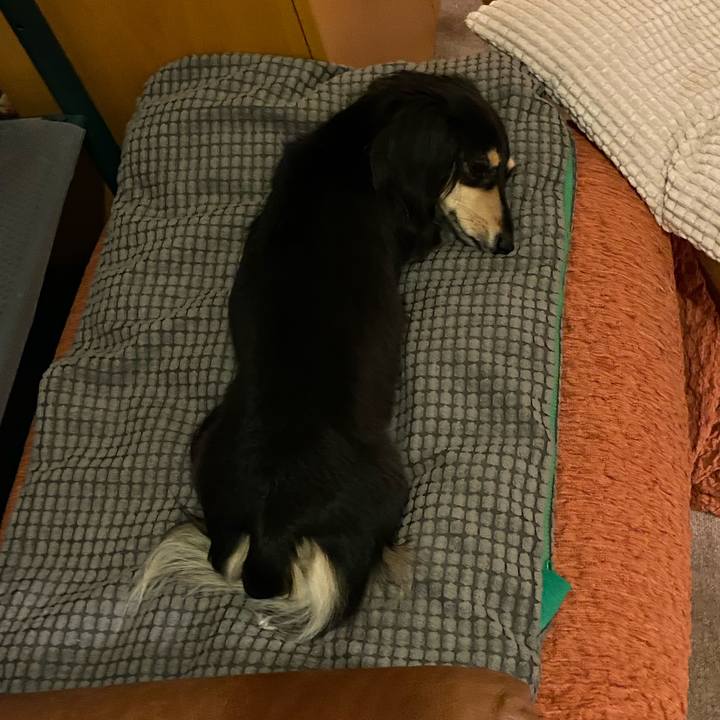 3380a9d0 ebde 485e a8e0 43c25a3467a4 1753308359925