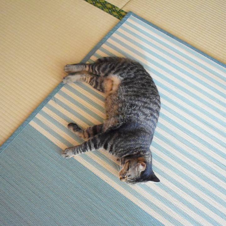 3380d6dd 7a0b 4f5b 8d5d 755fea6f8369 1537068680797