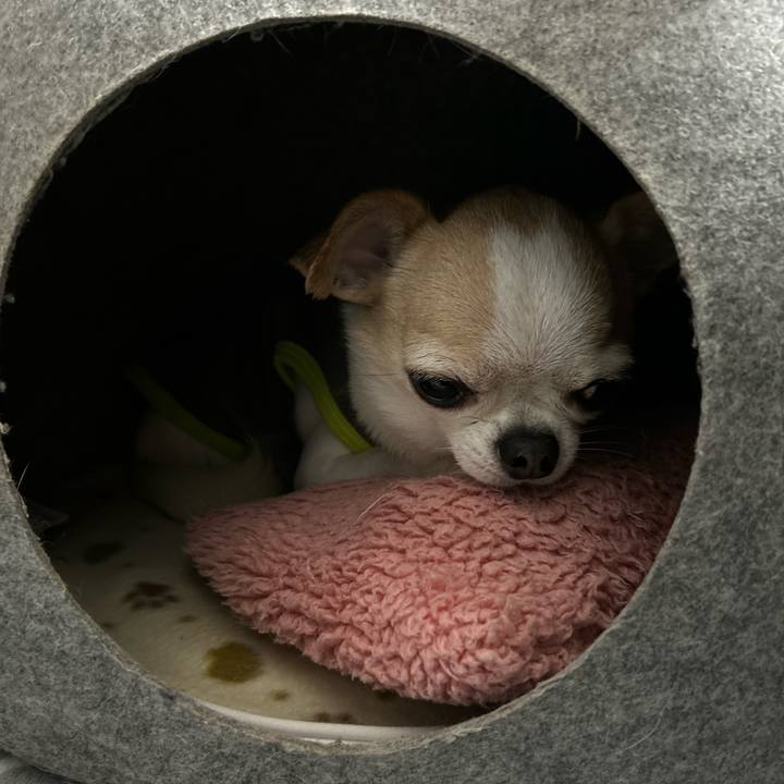 33811be0 aa29 441e 9cf8 6e0521c2aa3f 1769080304760