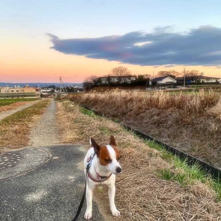 3381622c 6943 443a 99a2 7dd8194fed14 1547818261177