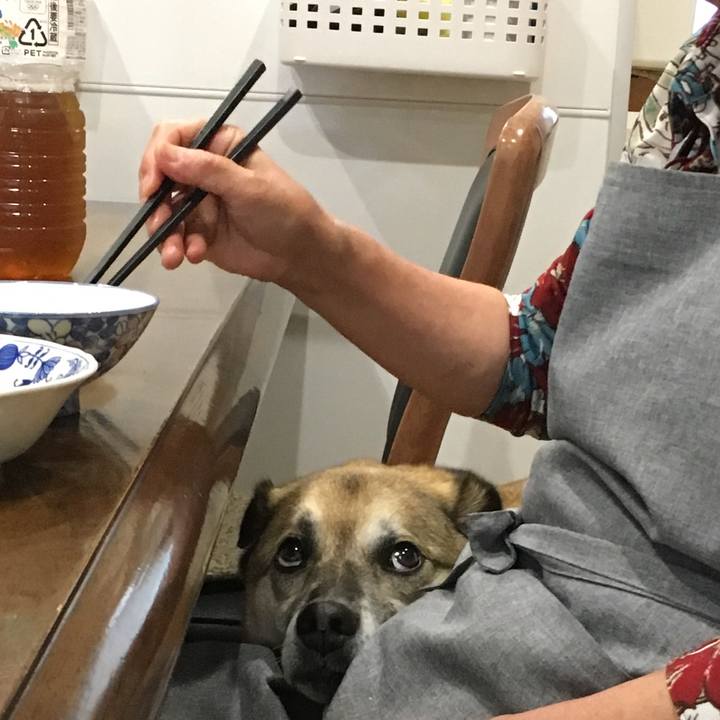 33817d2c 7fab 4312 acd0 9c9c0fd19851 1527846396519