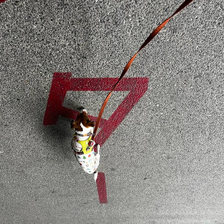 3381d509 6d0d 4d9e 80ac 15fcdbea6f9a 1727864073696