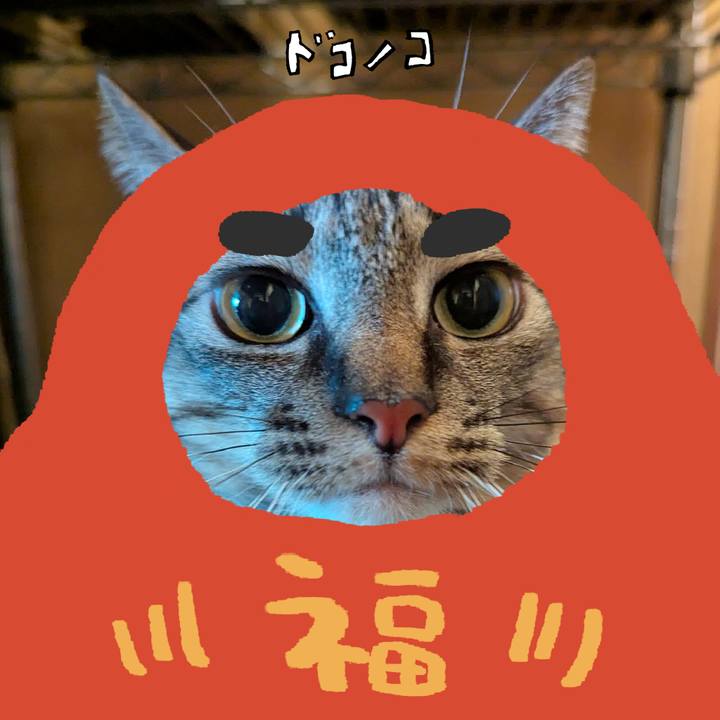 3381e262 8898 4919 8018 f51439394003 1771897648340