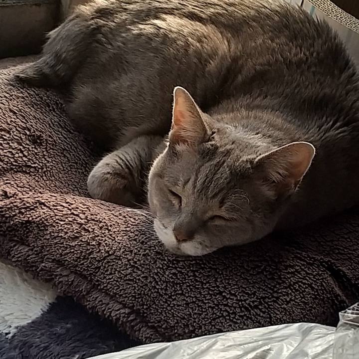 3381f255 da9b 4182 a6b2 325a5abd2246 1670732343146