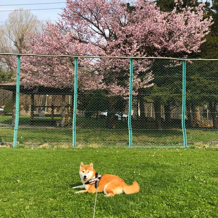 33820ad8 1509 4034 934c 19d984a3685e 1524887913146