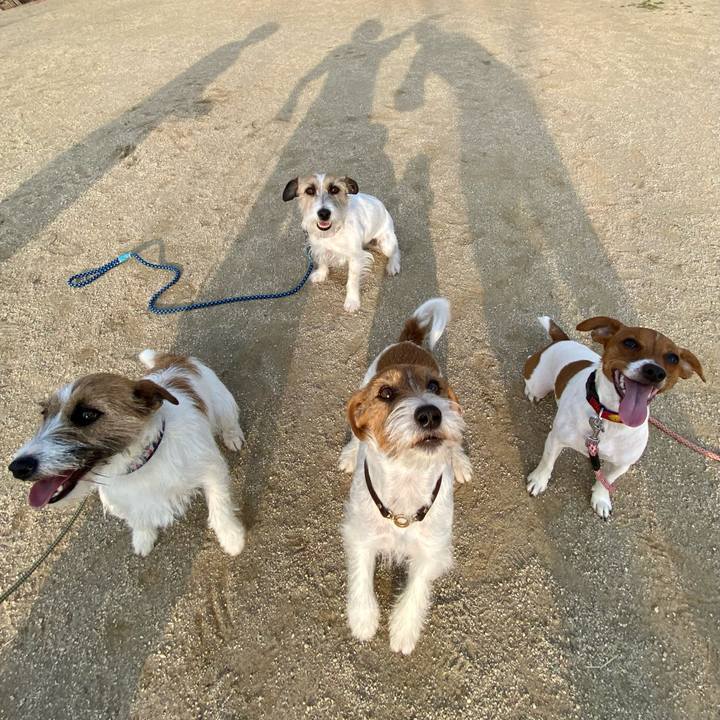 33823970 3425 4dee bb57 401ef14d8d00 1678449263235