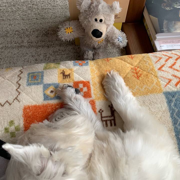 338270f4 5926 47b4 b53d 675f529d6d4d 1646220366768