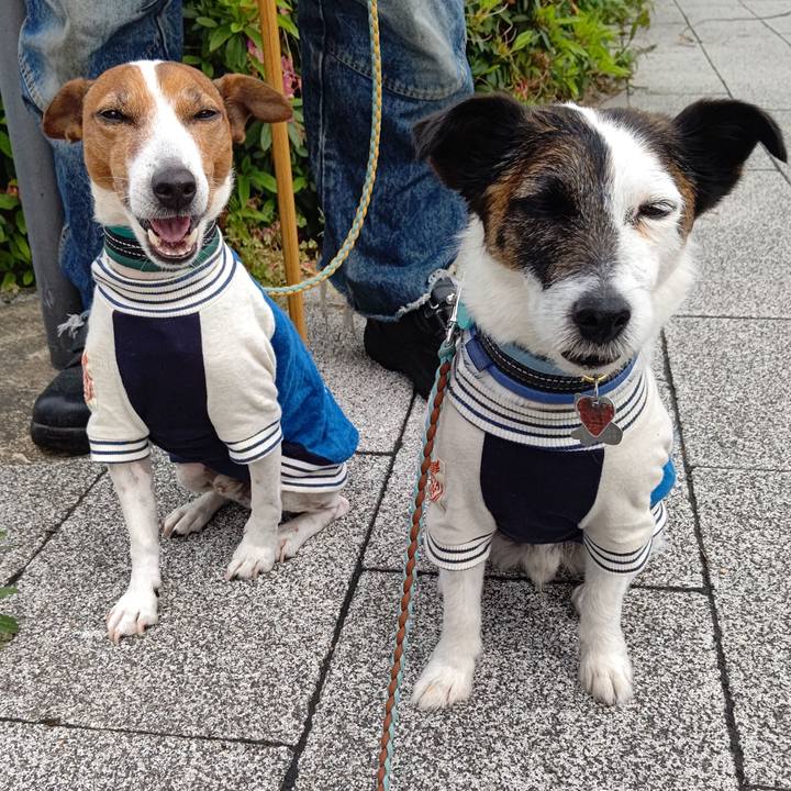 3382a760 66df 4848 9714 21598f5294a9 1715642470792