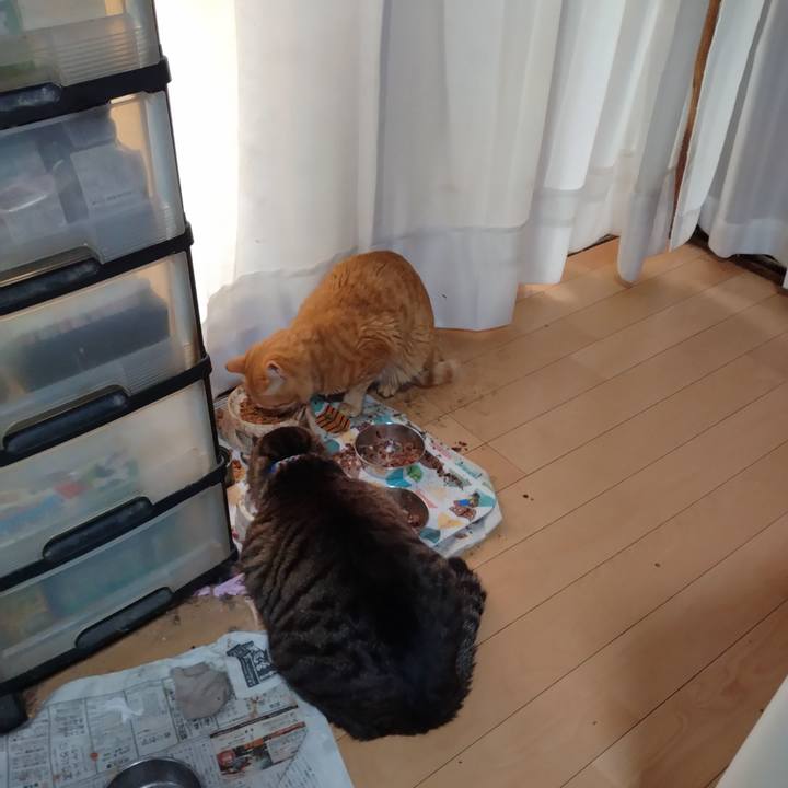 3382d500 547e 4600 82c5 a965b9b65c36 1683067218328