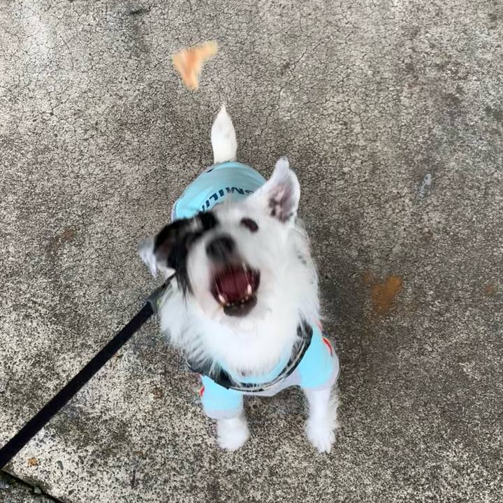 338330bd ac73 419a 902d d8a3a9b519b2 1731802117158