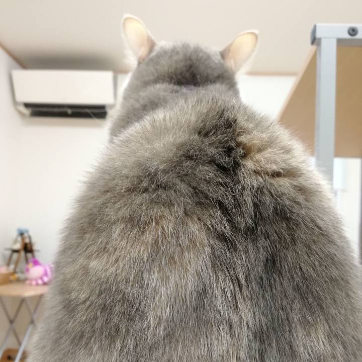 338350c2 8ed4 4df6 a2b3 e6f598b2702d 1548986692568