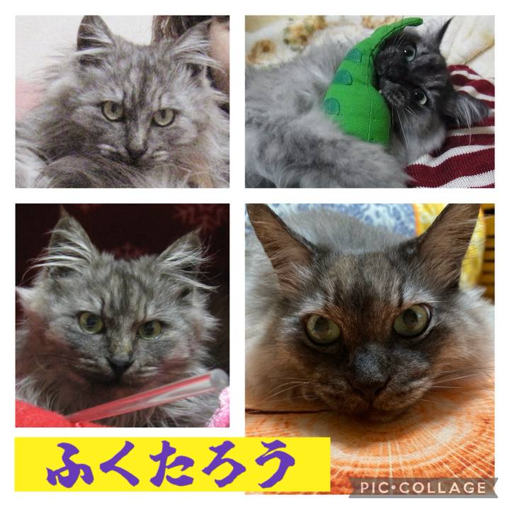 338364bb 995c 4446 8490 3c1e71cf1f02 1707517465245